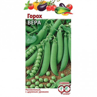 Горох Вера, семена изображение 9