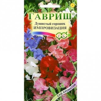 Горошек душистый Импровизация, смесь окрасок изображение 4