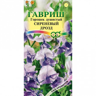 Горошек душистый Сиреневый дрозд, семена изображение 9