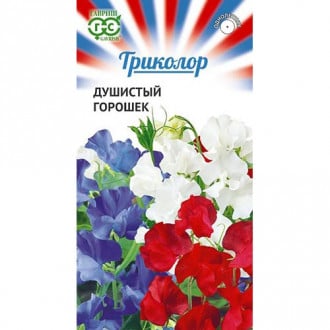 Горошек душистый Триколор, смесь окрасок изображение 13