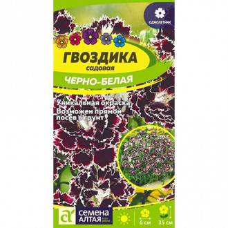 Гвоздика Геддевига Черно-белая Семена Алтая изображение 6