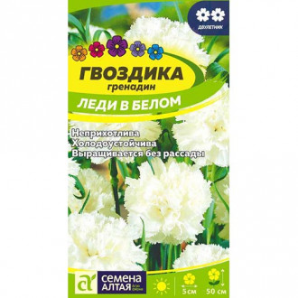 Гвоздика гренадин Леди в белом, семена изображение 10