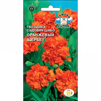 Гвоздика Оранжевый щербет, семена изображение 12