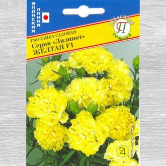 Гвоздика садовая Лилипот желтая F1 изображение 4