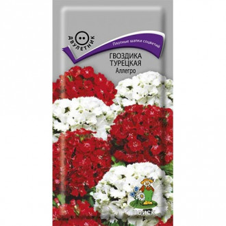 Гвоздика турецкая Аллегро, смесь окрасок изображение 7