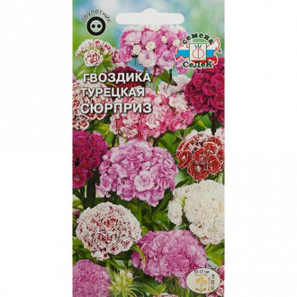Гвоздика турецкая Сюрприз, смесь окрасок изображение 8