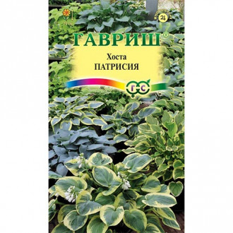 Хоста Патрисия, смесь окрасок изображение 17