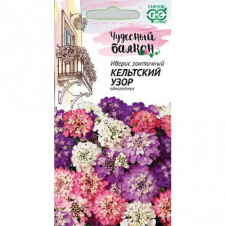 Иберис Кельтский узор, смесь окрасок изображение 8