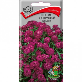 Иберис Вспышка, семена изображение 15