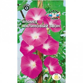 Ипомея Малиновый звон, семена изображение 12