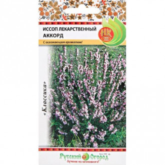 Иссоп Аккорд, семена изображение 7