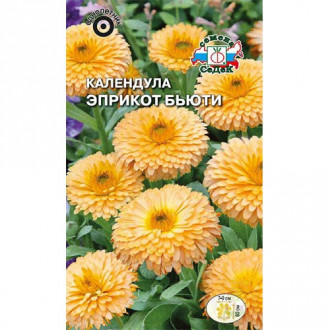 Календула Эприкот Бьюти, семена изображение 3