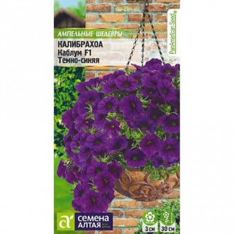 Калибрахоа Каблум темно-синяя F1, семена изображение 17