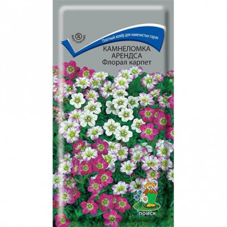 Камнеломка Арендса Флорал карпет, семена изображение 7