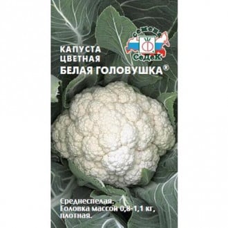 Капуста белокочанная Белая Головушка Седек изображение 4