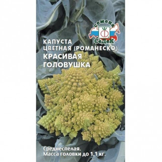 Капуста цветная Красивая головушка, семена изображение 16