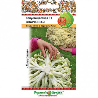 Капуста цветная Спаржевая F1, семена изображение 11