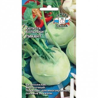 Капуста кольраби Пикант, семена изображение 13