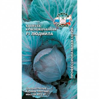Капуста краснокочанная Людмила F1, семена изображение 1