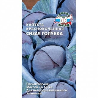 Капуста краснокочанная Сизая голубка, семена изображение 2