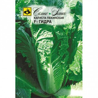 Капуста пекинская Гидра F1, семена изображение 12