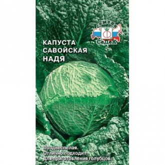 Капуста савойская Надя, семена изображение 6