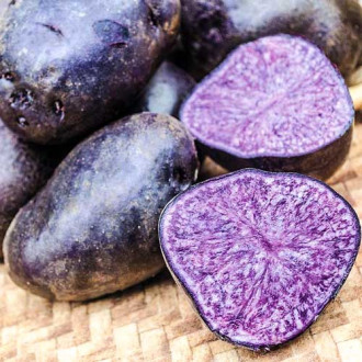 Картофель Фиолетовый изображение 3