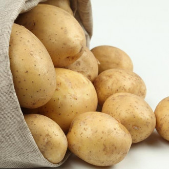 Картофель Никулинский изображение 16