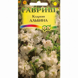 Кларкия Альбина, семена изображение 4