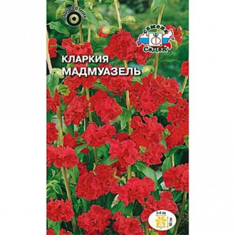 Кларкия Мадмуазель, семена изображение 14