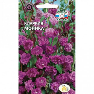 Кларкия Моника, семена изображение 1
