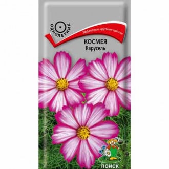Космея Карусель Поиск изображение 2