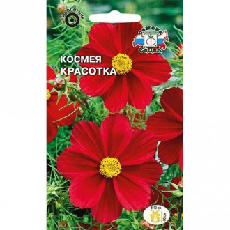 Космея Красотка, семена изображение 17