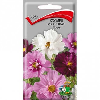 Космея Психе, смесь окрасок изображение 15