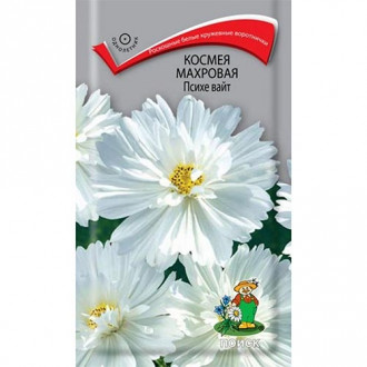 Космея Психе Вайт, семена изображение 13