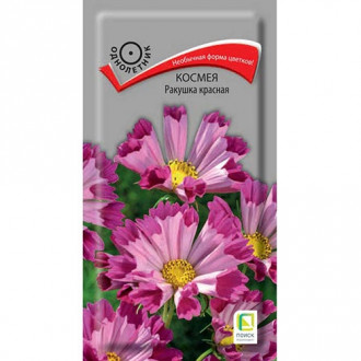 Космея Ракушка красная, семена изображение 18