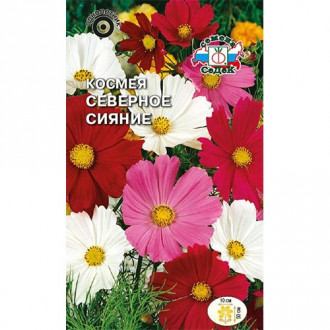 Космея Северное сияние, смесь окрасок изображение 16