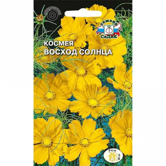 Космея Восход солнца, семена изображение 17