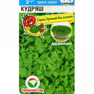 Кресс-салат Кудряш Сибирский Сад изображение 2