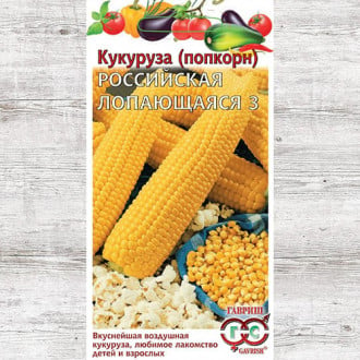 Кукуруза (попкорн) Российская лопающаяся 3 Гавриш изображение 5