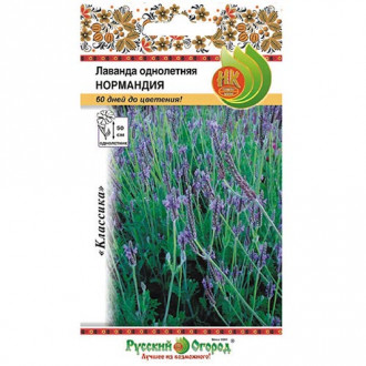 Лаванда Нормандия, семена изображение 7