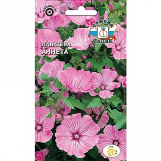 Лаватера Аннета, семена изображение 17