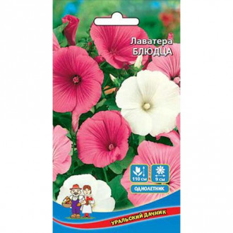 Лаватера Блюдца, смесь окрасок изображение 9