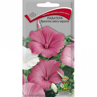 Лаватера Красотка, смесь окрасок изображение 10