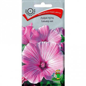 Лаватера Сильвер Кап, семена изображение 11