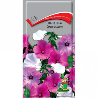 Лаватера, смесь окрасок изображение 8