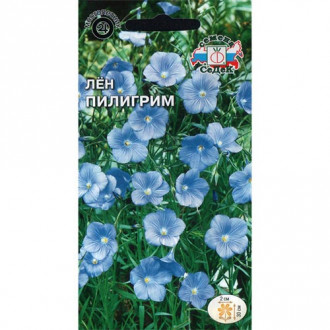 Лен Пилигрим, семена изображение 13
