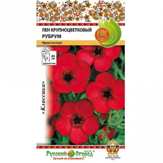 Лен Рубрум, семена изображение 12