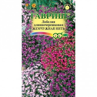 Лобелия Жемчужная нить, семена изображение 11