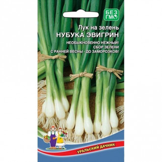 Лук на зелень Нубука Эвигрин, семена изображение 3